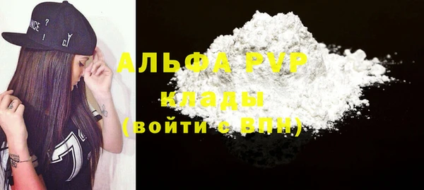 дмт Инта