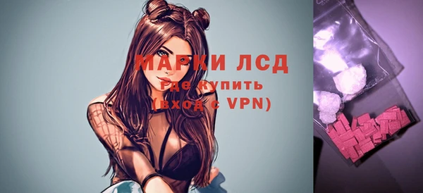 ECSTASY Инсар