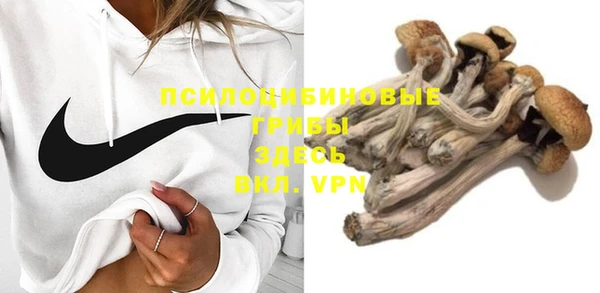 дмт Инта