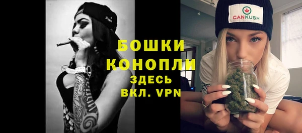 дмт Инта