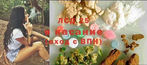 дмт Инта