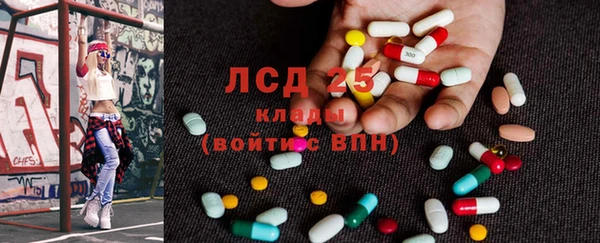 ECSTASY Инсар