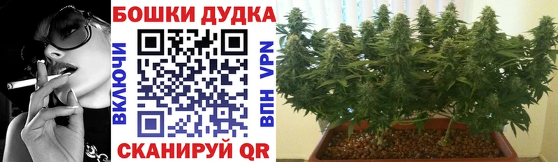 Купить где  Дмитровск  Каннабис индика 